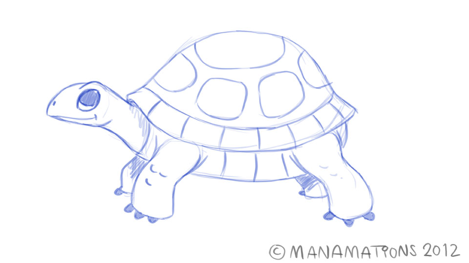 Tortoise design