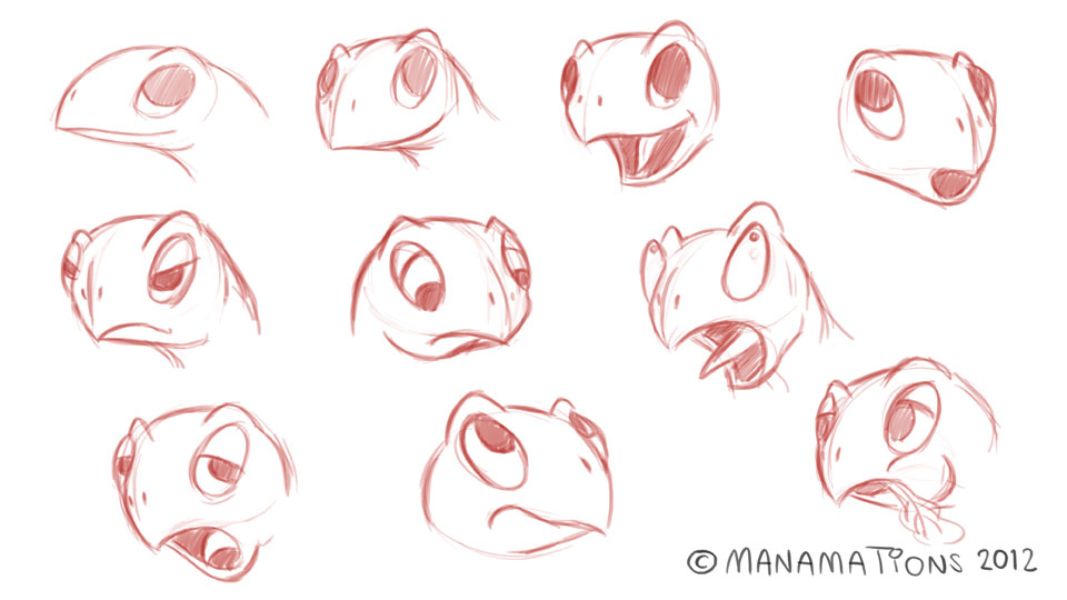 Tortoise Facial Expressions